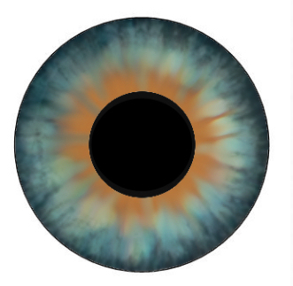 eyes (2)